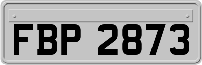 FBP2873