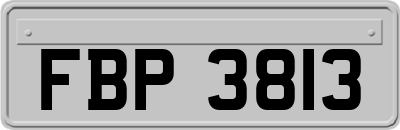 FBP3813