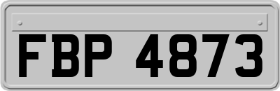 FBP4873