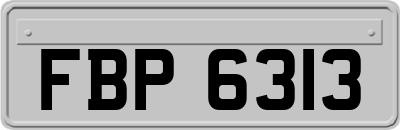 FBP6313