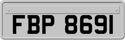 FBP8691