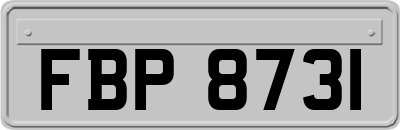 FBP8731