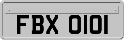 FBX0101