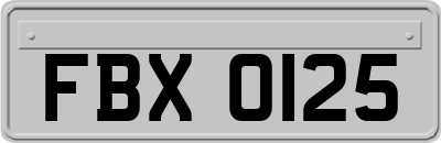 FBX0125