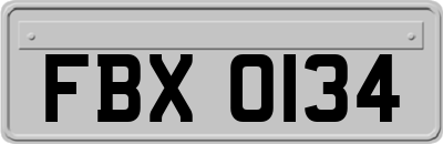 FBX0134