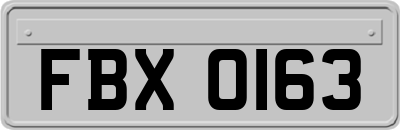 FBX0163