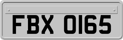 FBX0165