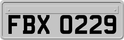 FBX0229