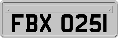FBX0251