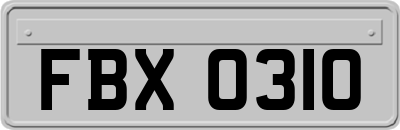 FBX0310