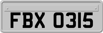 FBX0315