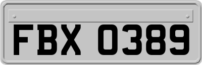 FBX0389