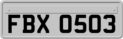 FBX0503