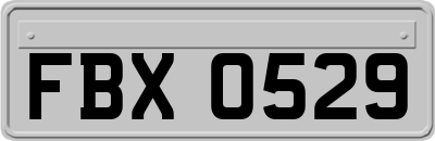 FBX0529