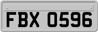 FBX0596