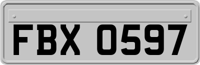 FBX0597