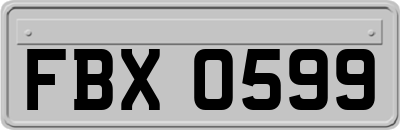 FBX0599