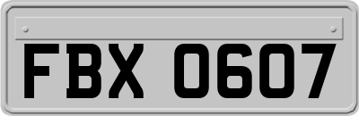 FBX0607