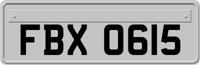FBX0615