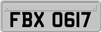 FBX0617