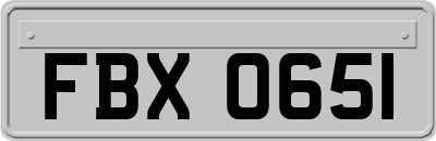 FBX0651