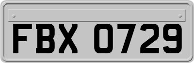 FBX0729