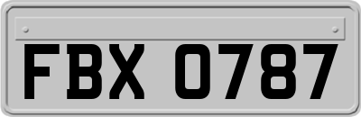 FBX0787