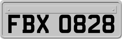 FBX0828