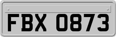 FBX0873