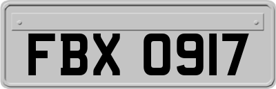 FBX0917