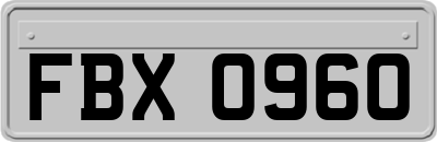 FBX0960