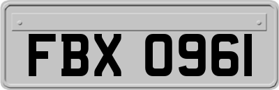 FBX0961