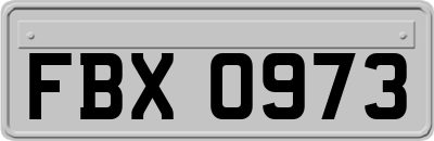 FBX0973
