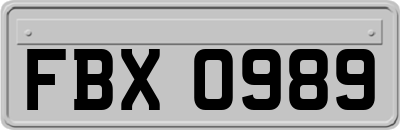 FBX0989
