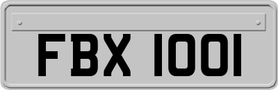 FBX1001