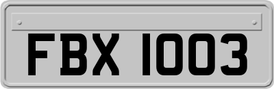 FBX1003