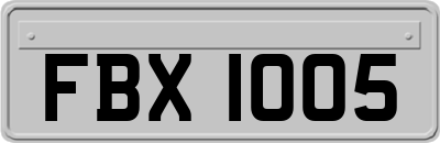 FBX1005