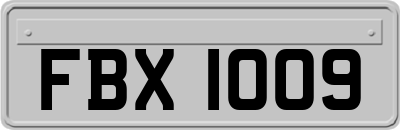 FBX1009