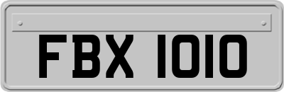 FBX1010