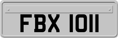 FBX1011
