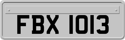 FBX1013