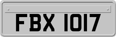FBX1017