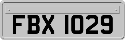 FBX1029