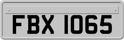 FBX1065
