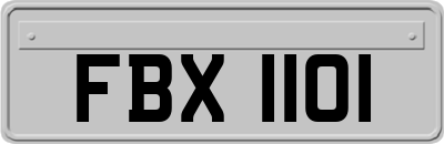 FBX1101