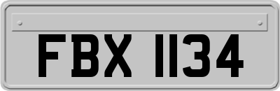 FBX1134