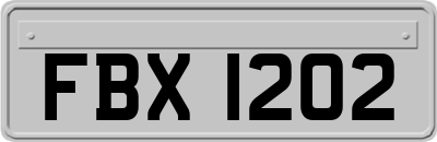 FBX1202