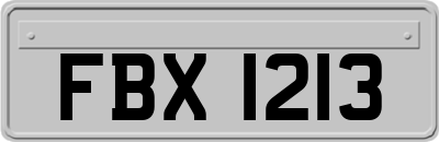 FBX1213