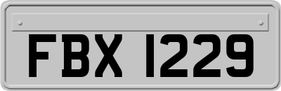 FBX1229