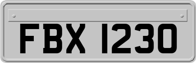 FBX1230